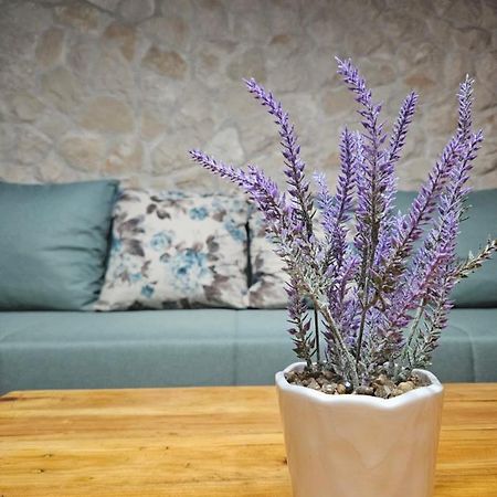 Dalmatia Rustica Comfortable One Bedroom+Fireplace Ζαντάρ Εξωτερικό φωτογραφία