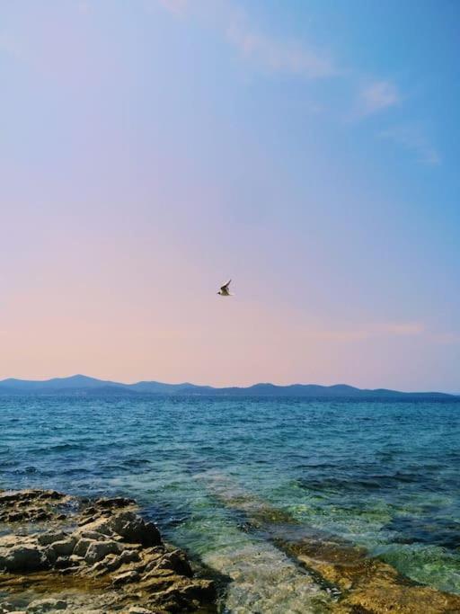 Dalmatia Rustica Comfortable One Bedroom+Fireplace Ζαντάρ Εξωτερικό φωτογραφία