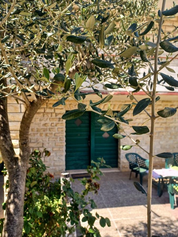 Dalmatia Rustica Comfortable One Bedroom+Fireplace Ζαντάρ Εξωτερικό φωτογραφία