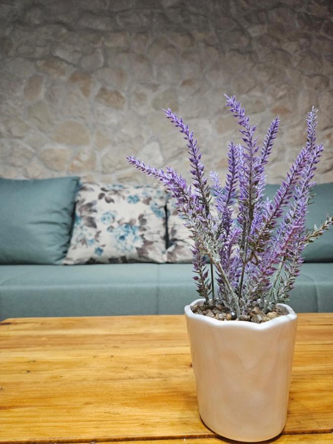 Dalmatia Rustica Comfortable One Bedroom+Fireplace Ζαντάρ Εξωτερικό φωτογραφία